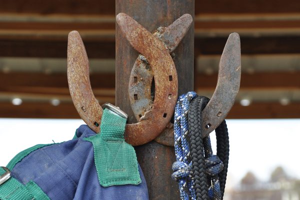 Reusing horseshoes as hangers, which helps with green horsekeeping