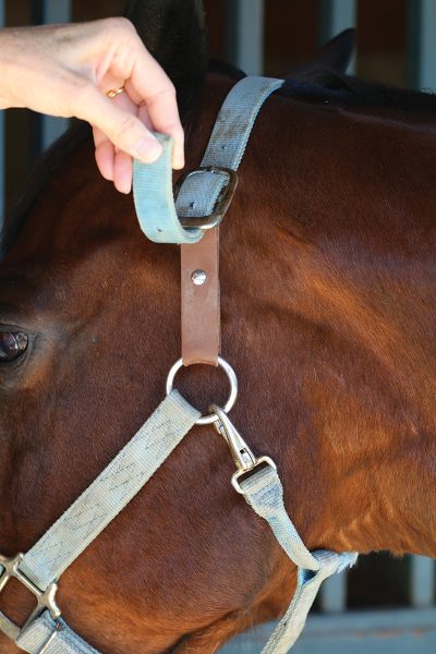Example of a breakaway strap