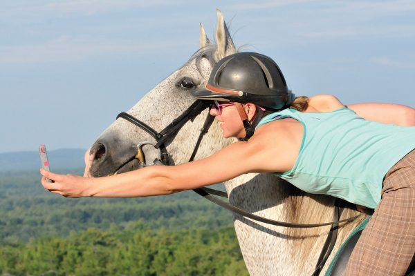 A rider takes a selfie with her horse