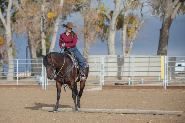 A horse and rider performing a sidepass over a pole