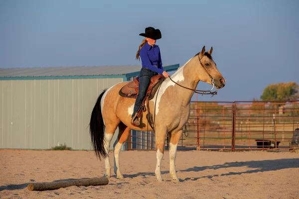 A young rider on a buckskin tobiano.