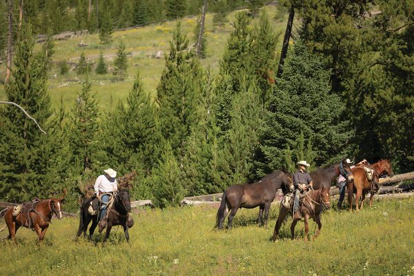 Showing an image of  A group of equines and riders on a mountainside.