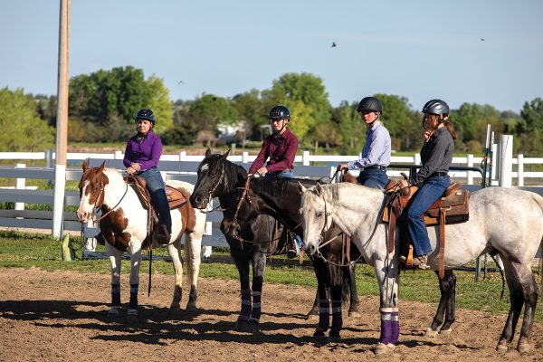 An IEA team together on their horses