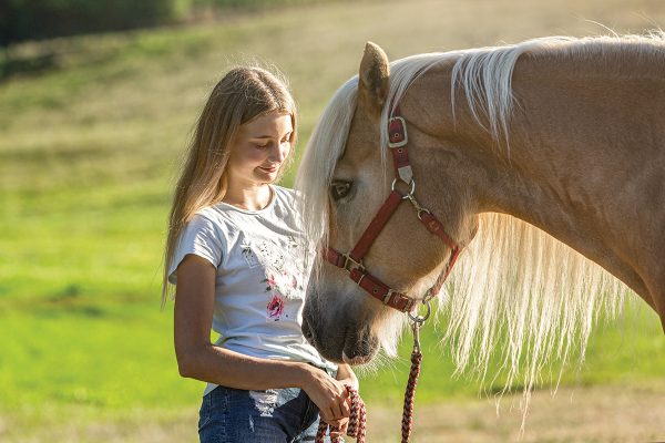 A young girl interacting with the horse she leases.