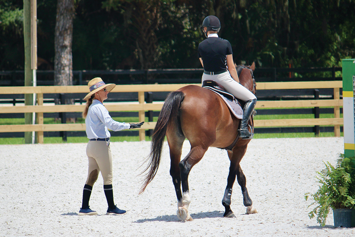 Learning from Lesson Horses