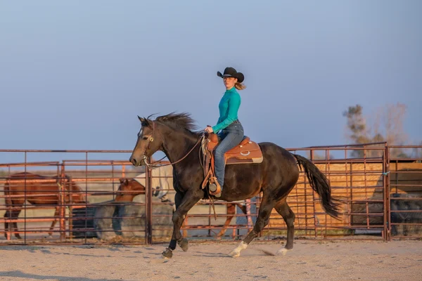 A rider steers her horse into a corner.