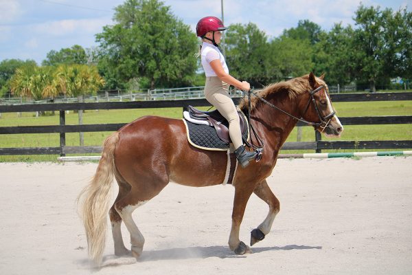 An equestrian displaying improper leg position.