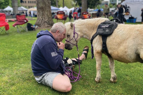 A Mini Horse working as a service animal.
