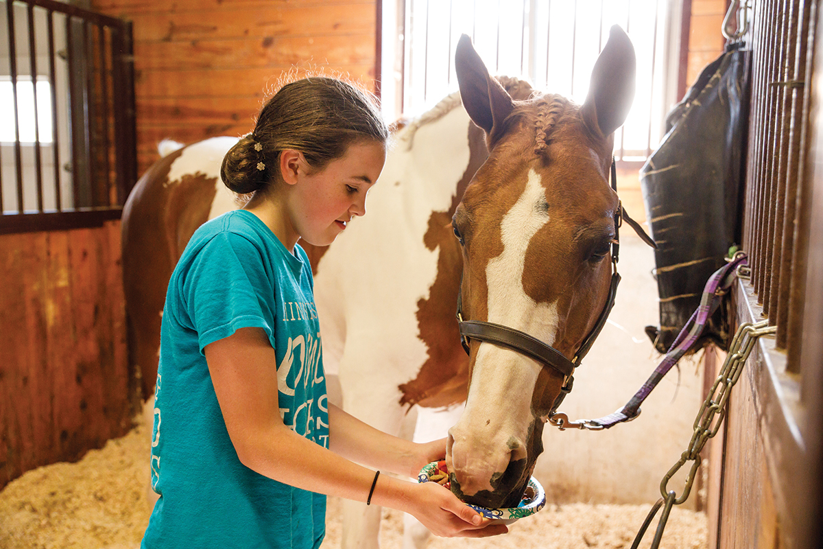 treats for a special horse