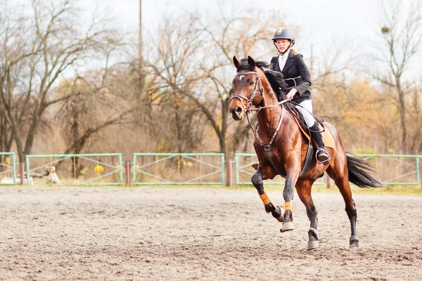 A rider cantering a bay horse.