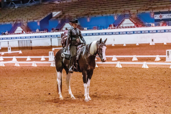 A rider on a pinto horse at a show