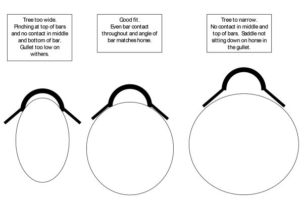 An illustration of the different widths of bars.