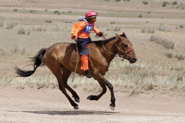 A young rider racing a horse in Mongolia
