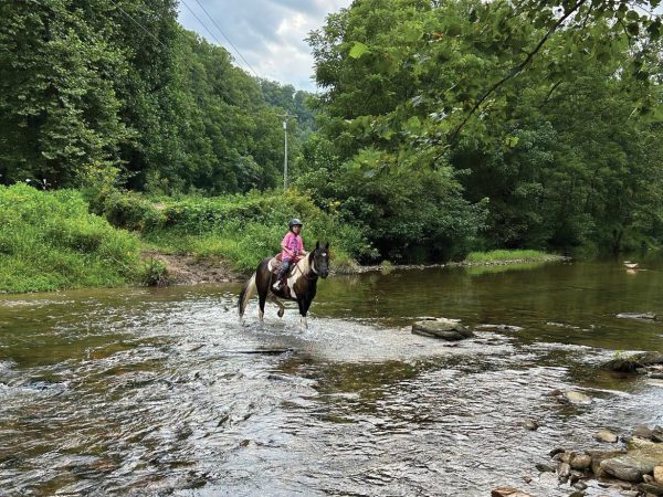 Tootie and Heart crossing a river.