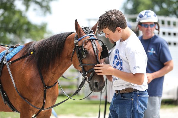 A member of the Harness Horse Youth Foundation interacts with a Standardbred racehorse.