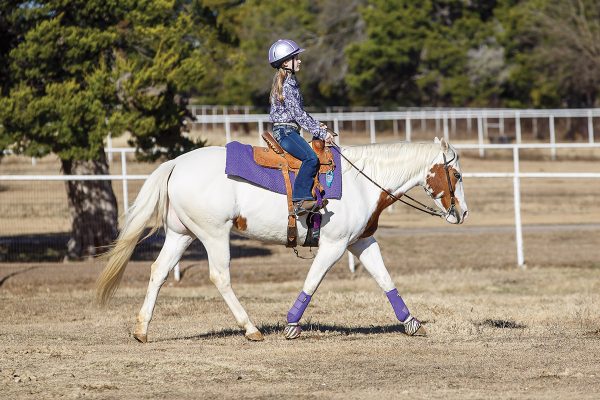 A young rider jogs her western horse