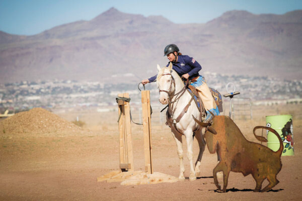 A Lusitano stallion being ridden by a young rider in working equitation