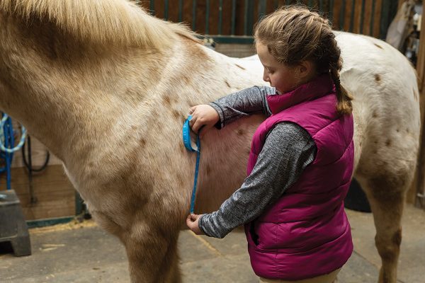 A girl uses a measuring tape on her horse