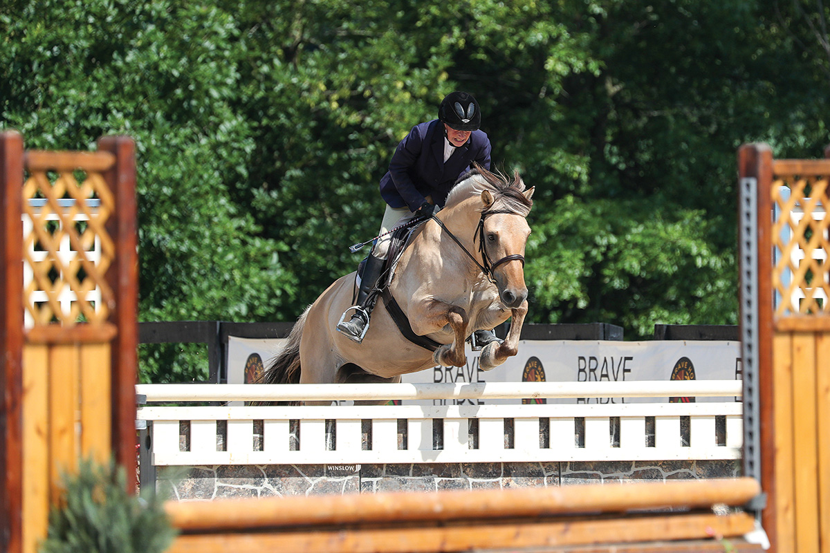 All About the Norwegian Fjord Horse - Young Rider Magazine