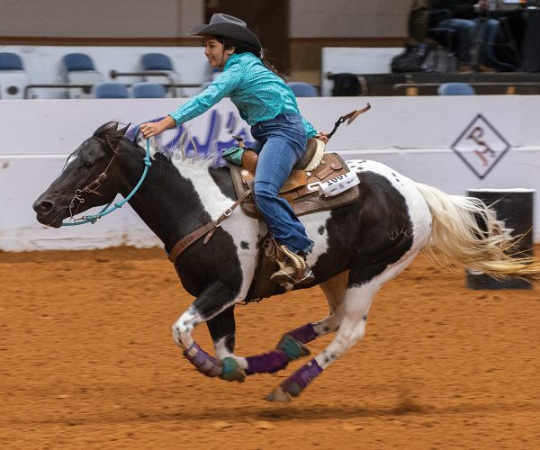 A barrel racer gallops home