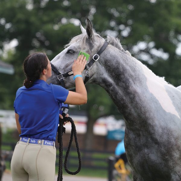 A girl bathing a horse.