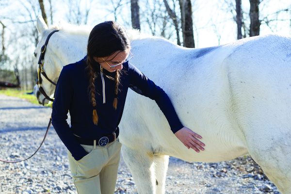 first-aid for horses