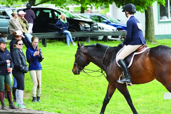 horse show turnout