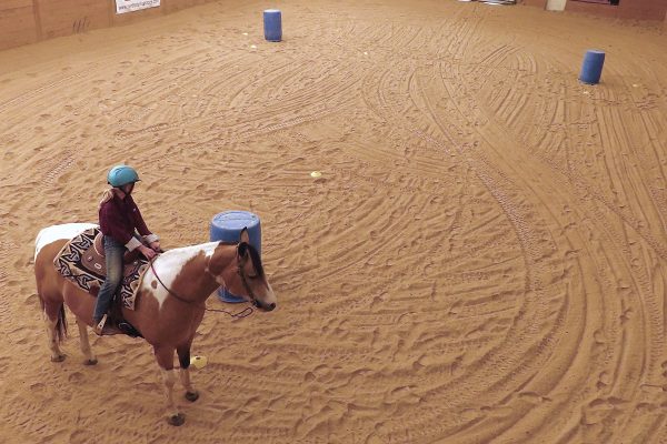 Rosie and Chief stopped at the tip of the pattern.