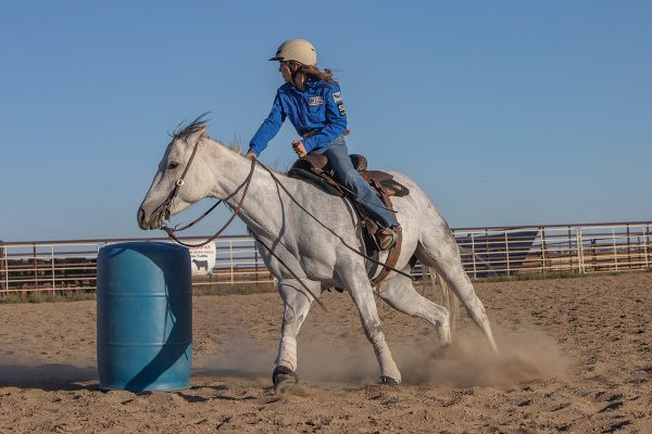 A horse and cowgirl