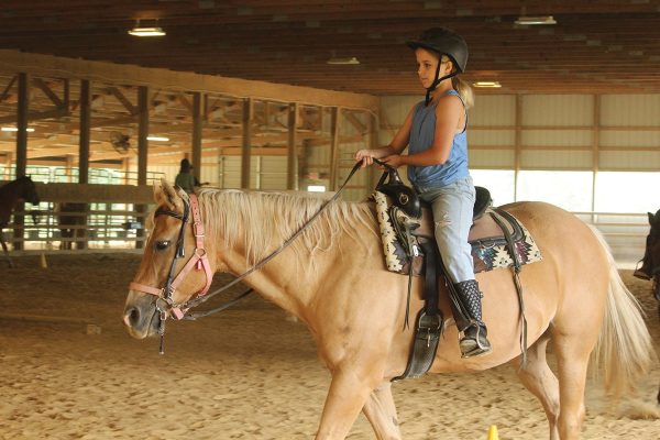 Hannah weaves through cones with Sunny in the arena.