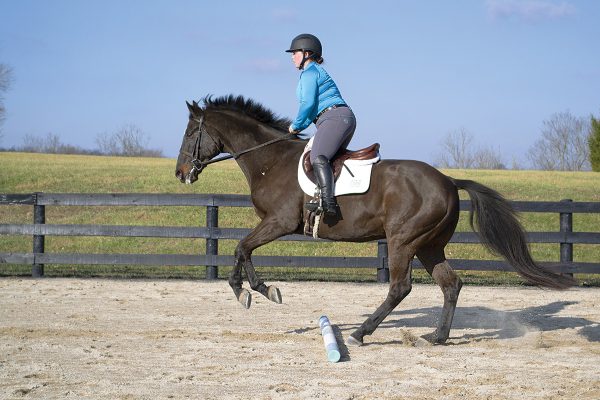 A horse and rider go over a ground pole