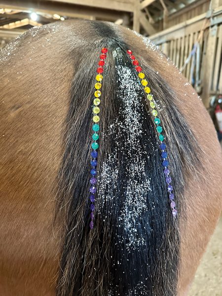 Rhinestones in a pony's tail.