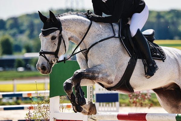 A hunter/jumper show.