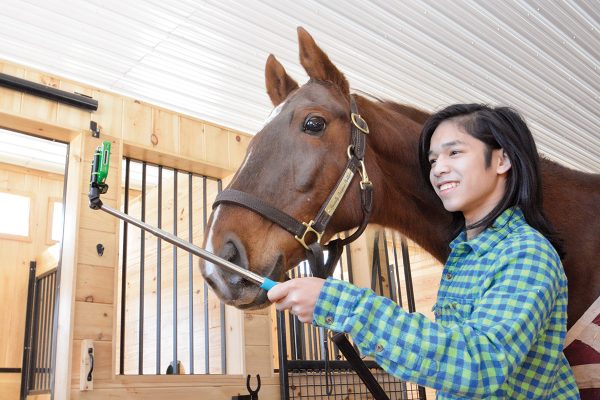 A kid uses a selfie stick to take a selfie with his horse