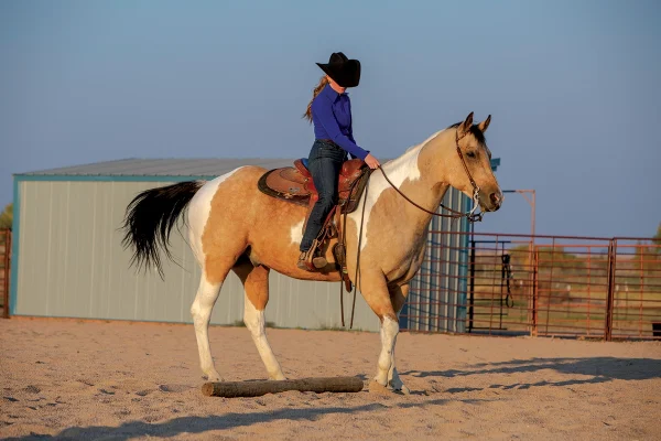 A young rider performing a sidepass on her horse.