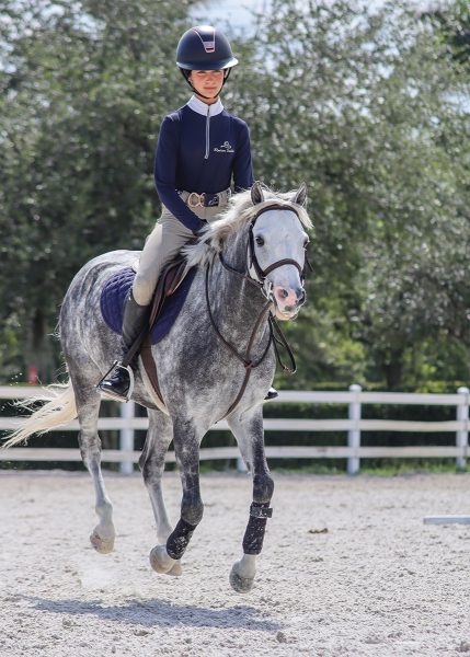 After using her right leg to create more jump in the canter, Katie puts on her left leg to ask Bitcoin for a flying lead change. 