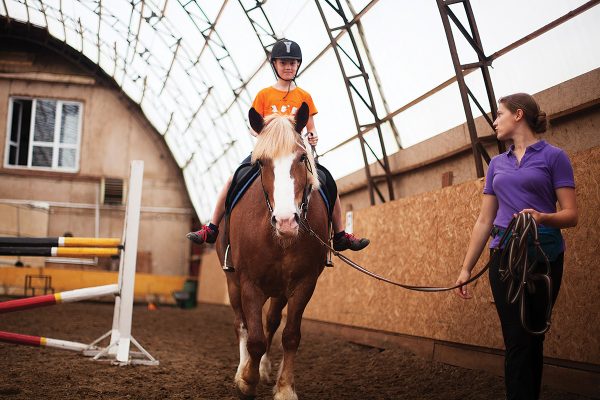 A young rider taking a lesson on the horse she leases.