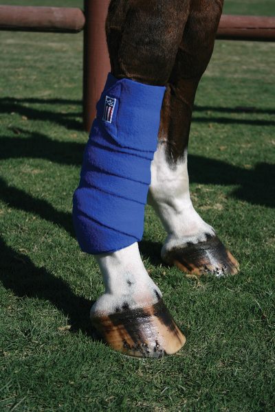 Polo wraps on a horse's legs