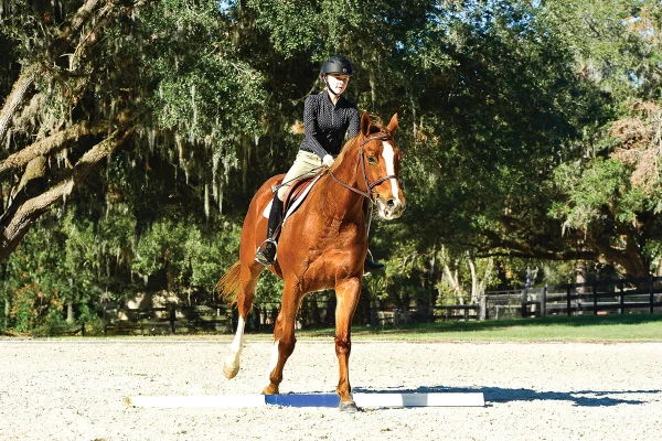 A horse and equestrian riding serpentines at the canter.