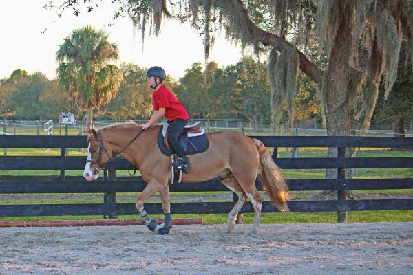 An equestrian practicing two-point.