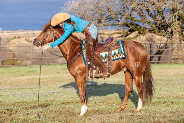 How to Use Split Reins - Young Rider Magazine