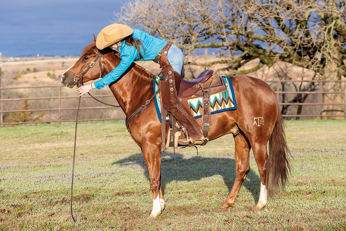 How to Use Split Reins Young Rider Magazine