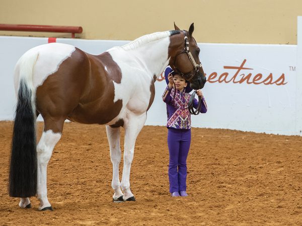 The APHA World Show.