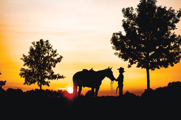 A silhouette of a horse and kid