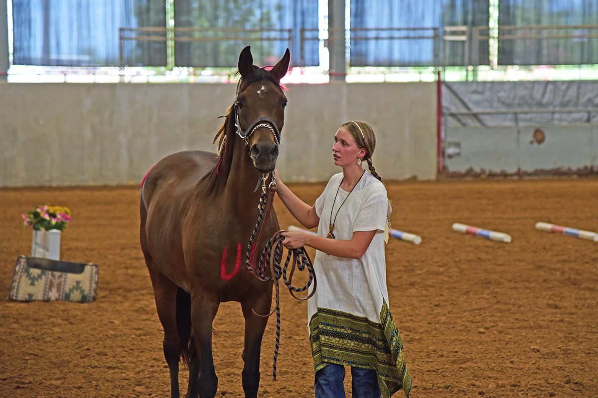Homes for Horses Young Rider Magazine