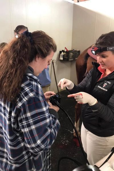Pre-vet student assists with a minor equine surgery at Albion College