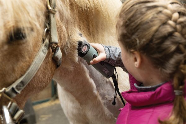 A girl winter clipping her horse