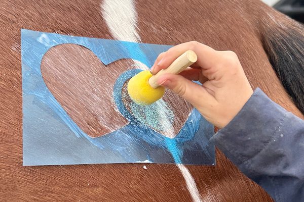 Applying a glitter stencil to a horse.