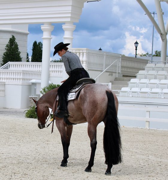 A western equestrian aboard a bay roan.