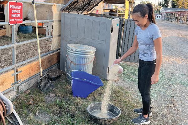 A young equestrian pouring up feed for her horses, an important part of horsekeeping